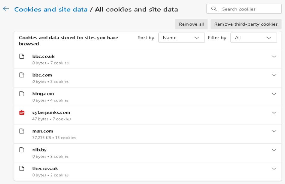 see all cookies and site data